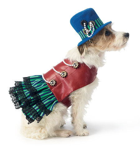 Vetements et hotsell accessoires pour chien