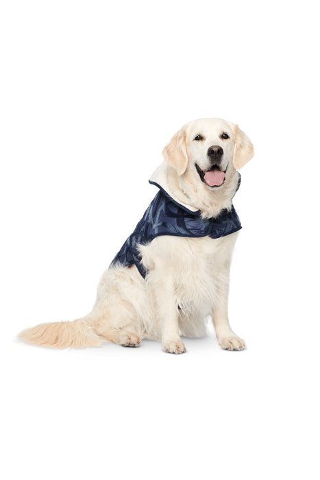 Patron de manteau pour chien, Accessoires habits pour chiens Burda 6049