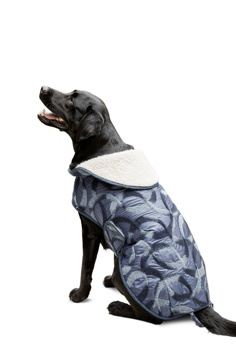 Patron de manteau pour chien, Accessoires habits pour chiens Burda 6049